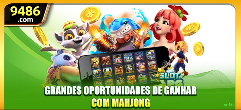 Suporte betboo